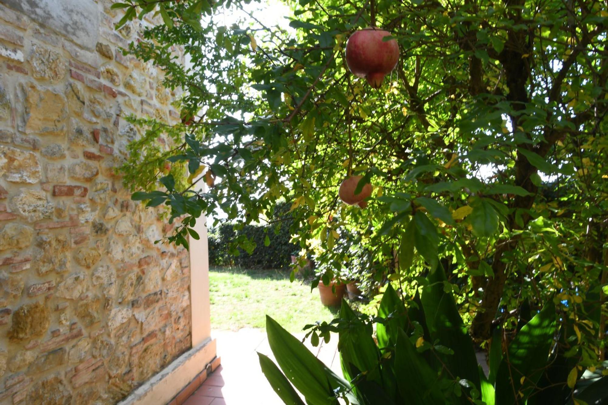 Podere Le Monache มอนตาโยเน ภายนอก รูปภาพ